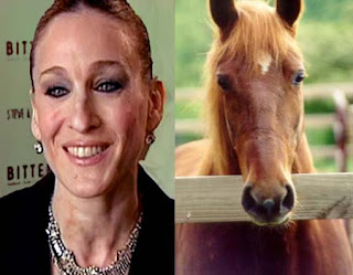 horse look alike