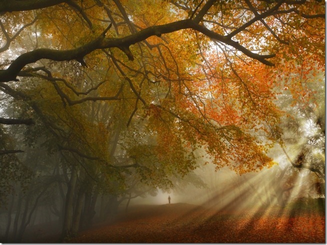 dreamstime3