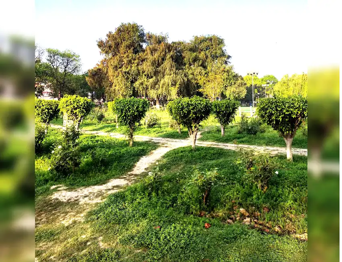 Beautiful Scene 🌳