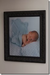IMG_7439 IMG_7439