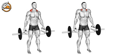 5 Best Exercises to Build Bigger Traps