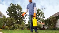Lawn Health In Weed Control