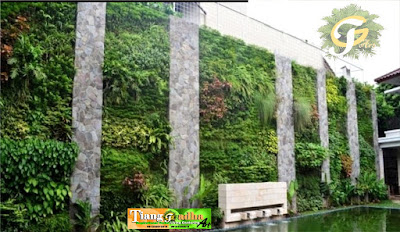 Tukang Taman Surabaya || Desain Taman Surabaya || vertical garden || taman vertical