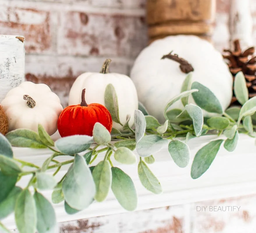 white and orange pumpkins