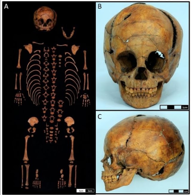 Esqueleto de criança encontrado na pedra do cachorro tem datação e detalhes divulgados