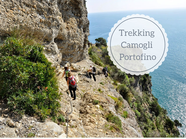 Trekking Camogli - Punta Chiappa - San Fruttuoso - Portofino