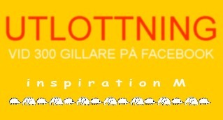 UTLOTTNING300