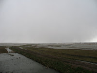 Minsmere