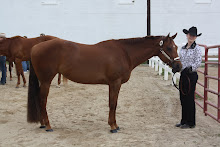 Me and my horse Emma