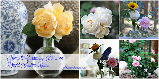 National, Gardening Day, Roses, homegrown, garden, gardens, market, athomewithjemma.com