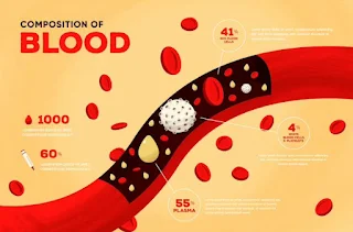 Veterinary Hematology 101: Unlocking the Secrets of Blood