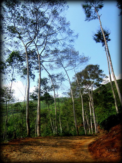 Perjalanan Tak Berujung: Sakit Hati Menuju Curug Cikondang