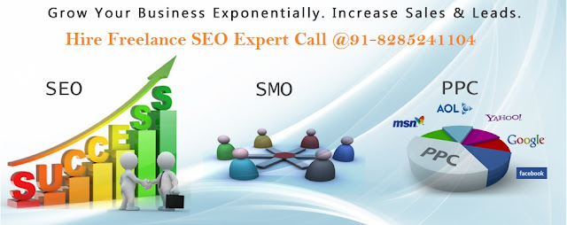 Freelance SEO expert in New Delhi, Hire SEO Expert in Gurgaon