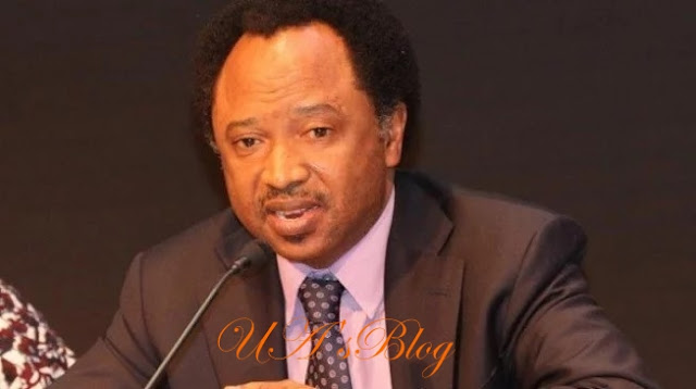 APC crisis: Oshiomhole is coming too late, we are leaving- Shehu Sani