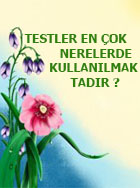 test nedir ?