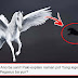 Once They Saw This Creature Flying They Immediately Took Their Cameras To Record It