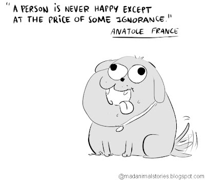 quote a person is never happy except at the price of some ignorance anatole de france