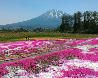 Skydive Hokkaido in Yoichi　An exciting experience awaits in Yoich