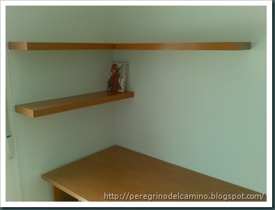 Imagen229