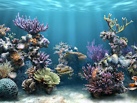 Background For Aquarium5