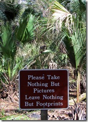 Nice thought