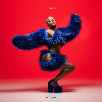 Blaya - Ninja