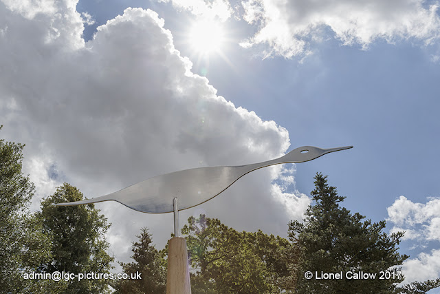 This is a stainless steel avocet with an oak  stand . flight of three