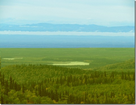 Denali 005 (800x600)