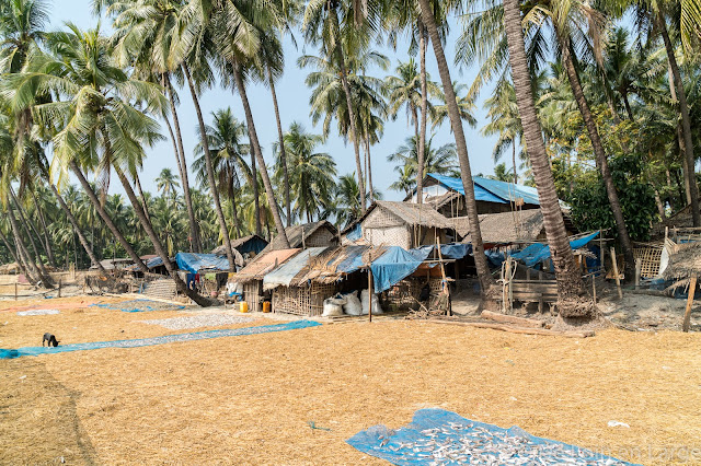 Lone Tha-Sud Ngapali-Birmanie-Myanmar