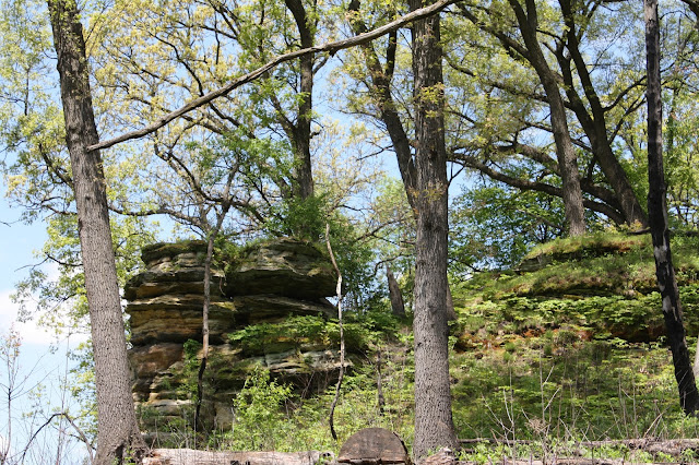 Picturesque sandstone cliffs at Nachusa Grasslands in Illinois