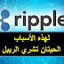 الحيتان تشتري الريبل XRP بعد توقعات بربح القضية قريبا الحيتان تشتري الريبل XRP بعد توقعات بربح القضية قريبا
