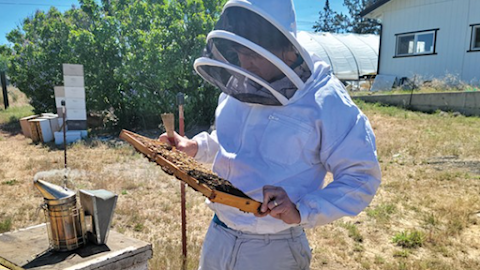 Honeybee Hive Tour With Bend's Broadus Bees