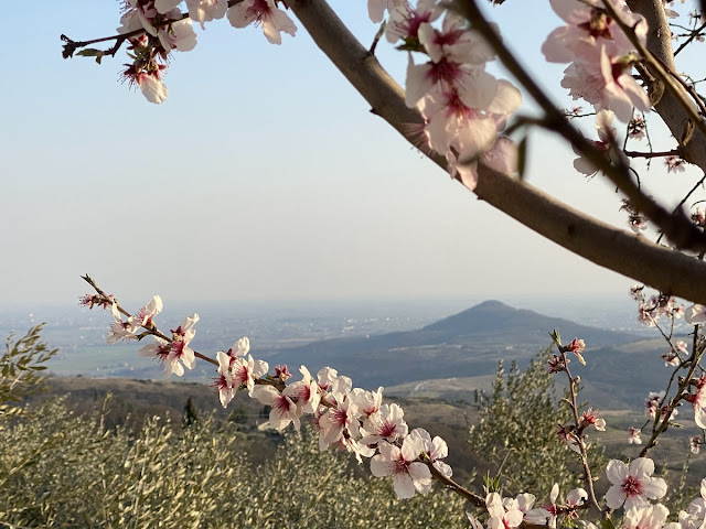 Passeggiate Colli Euganei