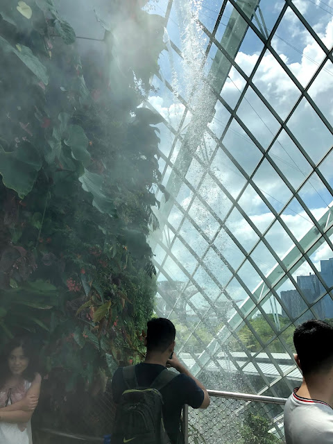 Cloud Forest Garden by The Bay Singapore - habisliburan.com