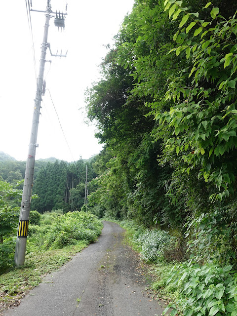 鳥取県西伯郡南部町上中谷　林道上中谷線