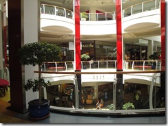 DSC04225