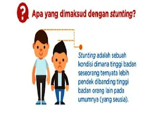 Anak Stunting