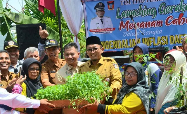 Wako Hendri Septa Launching Gerakan Menanam Cabai