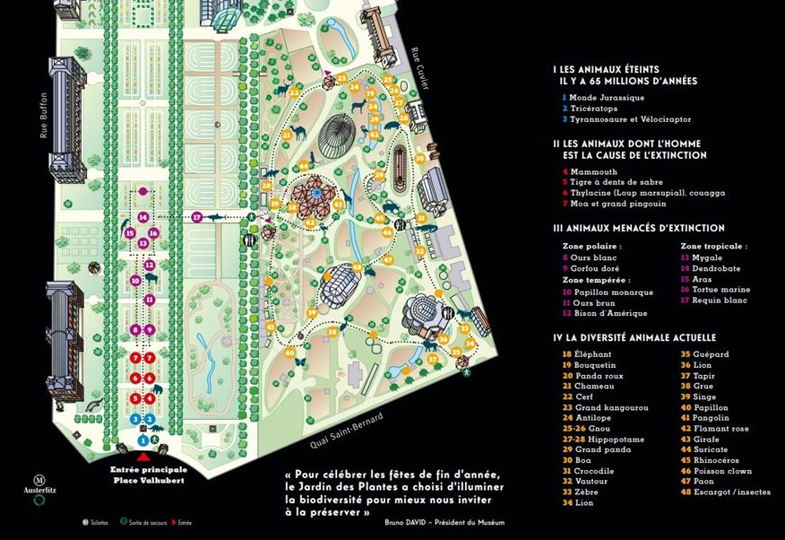 plan espèces en voie d'illumination