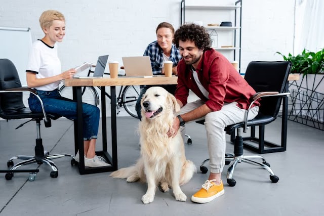   The Benefits Of Bringing Pets To Work