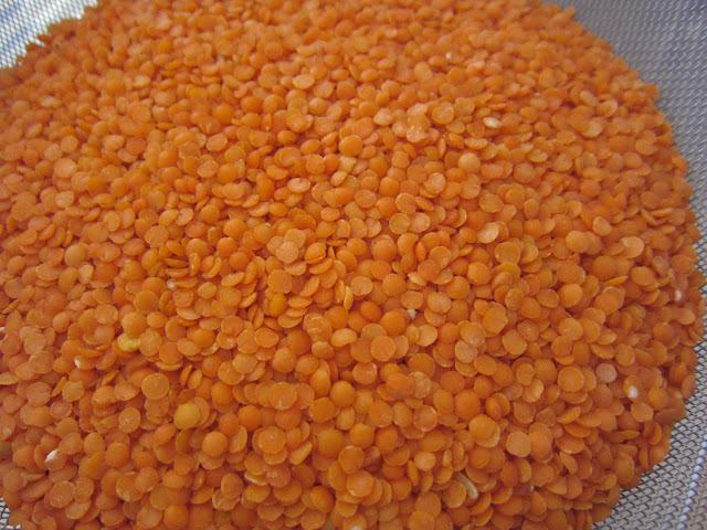 Red lentil