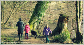 walking the dog with Grandma, Woodland Trust