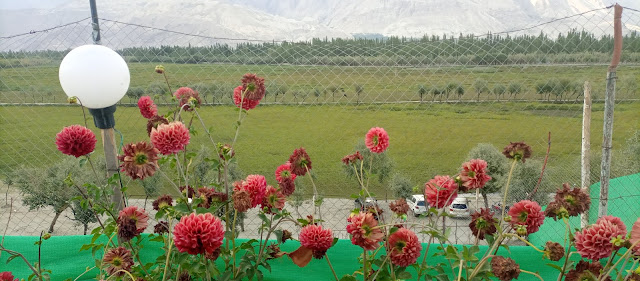 وادی کتپناہ، کتپناہ جھیل اور سرد صحرا کی معلومات و خوبصورتیInformation and beauty of Katpana Valley, Katpana Lake and Cold Desert