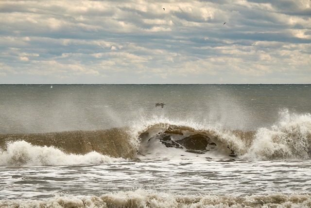 obx 6