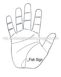 Meaning Of Fish Sign Face Upward Or Downward On Hand | Palmistry
