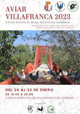 Exposición de avicultura en Andalucía