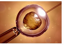 http://www.mannatfertility.com/Intra-Cytoplasmic-sperm-Injection-ICSI.php