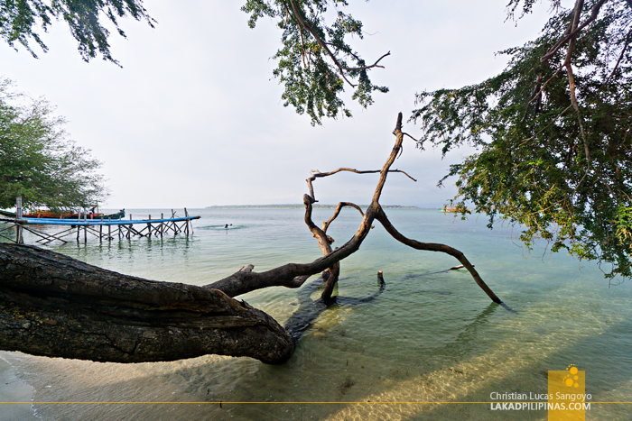 Magalawa Island Zambales Travel Guide