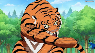 ワンピースアニメ 499話 幼少期 | ONE PIECE Episode 499 ASL