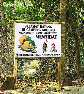 Camping Ground di Taman Nasional Betung Kerihun